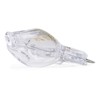 Osram Osram Halopin Backofen-Lampe (230 V, 25 W, G9 Halogen,