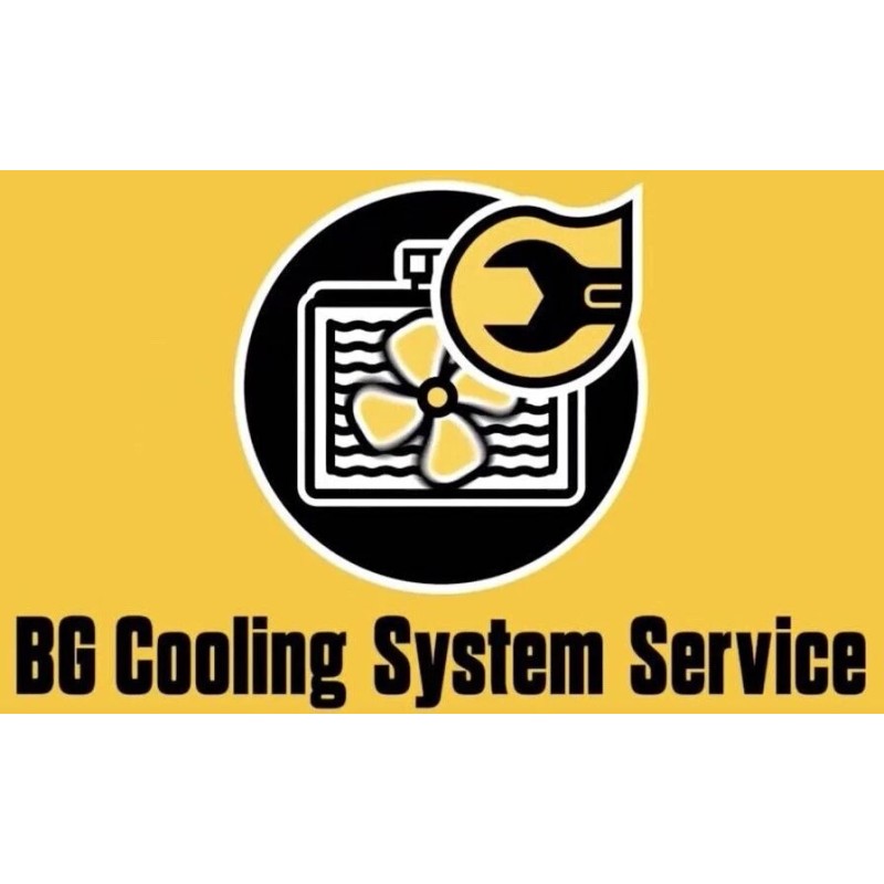 BG | COOLING SYSTEM CLEANER ✪NEW✪ 5408 8 OZ. OEM