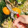 Kili Pruning Shears, Long Blade Bud Cutting Shears, Made in