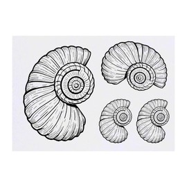 4 x 'Shell Fossil' Temporary Tattoos - Water Resistant, Skin-Safe, Non-Toxic Transfers, Mixed Sizes (TO00069458)