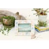 Photo Frame Caspian Sea Shell Float Shell 35951624
