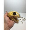 Aztec Death Whistle - Apex Predator