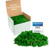 Iceland Moss Natural Green Preserved I Moss Decoration for Crafts