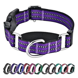 Hikiko Martingale - Collar de perro de nailon reflectante con hebilla de liberación rápida, ajustable, antideslizante, para entrenamiento (XS, púrpura)