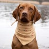 FELLSOCKE süßes Hundehalstuch Bandana waschbar aus Baumwolle (Kirschenmuster, 90x58x58 cm)