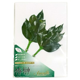 A&K Sakaki Preserved (SS / Pair / Approx. Height 9.1 x Width 3.9 inches (23 cm) x Width 3.9 inches (10 cm) No Water Change Required, Keep Beautiful, Made with Premium Camellia Leaves (Tanba), Shinto Shelf, For Offering