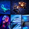 Consciot UV Flashlight Blacklight USB-C Rechargeable, 365nm LED Ultraviolet Light,