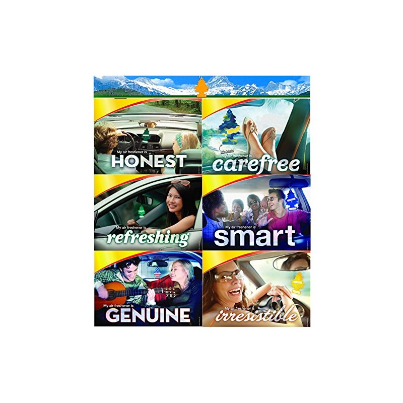 LITTLE TREE U6P-67343: BlackBerry Clove, Multi