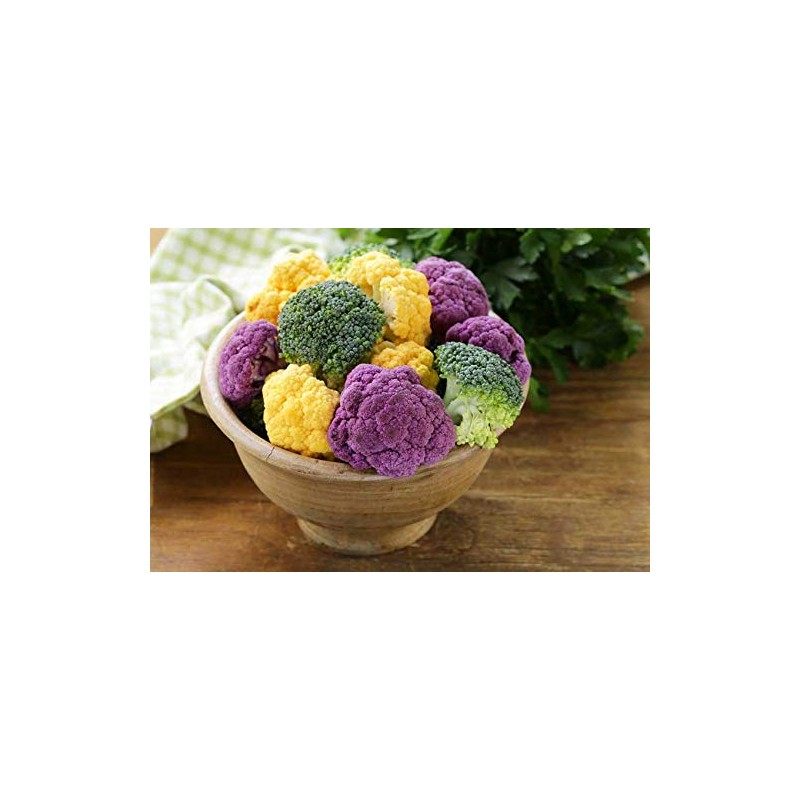 NIKA SEEDS - Seeds Vegetable Cauliflower Cabbage Mix - 200
