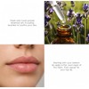 Rebels Refinery Juego de bálsamo labial Combo Pack