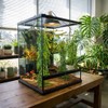 Reptile Plants for Terrarium Tank – Bearded Dragon Tank Accessories,