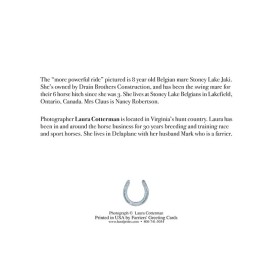 Mrs Claus Upgraded Rides Belgian Horse Christmas Cards