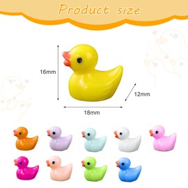 DHWEKU Pack of 10 Miniature Ducks Resin Mini Duck Figures Miniature Mini Resin Ducks for Crafts Garden Landscape Dollhouse Ornament DIY Craft House Decorations 10 Colours