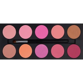 Coastal Scents 42 Color Double Stack Matte Eye Shadow and Blush Palette Shimmer Eye Shadow