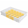 L'Oro Del Sud Perforated Drying Tray for Fresh Pasta, 23.6"