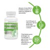 HEALTHADDICTION - Probióticos y Prebióticos Fórmula Avanzada con 4 Cepas,