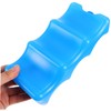 Totority 2 Pcs Breastmilk Bottle Ice Pack Ice Box Cooler
