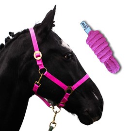 Halter for Horses with Knit, Lead Rope Horse with Halter, Halter Shetty, Pony, Thoroughbred, Full, X-Full with Knit (Pink, Mini Shetty)