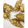 Springplant Jerusalem Artichoke Tubers - Individual Tubers For Planting -