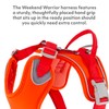 Hurtta Weekend Warrior ECO Dog Harness, Rose Hip, 39-47"