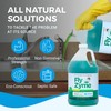 KINZUA ENVIRONMENTAL Fly-Zyme, Highly Concentrated Enzyme Drain Cleaner for Pipes