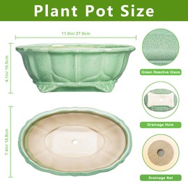 Teagas Bonsai Pots 11 Inch - Ceramic Succulent Pots with Drainage Hole, Oval Planter for Indoor Outdoor, Decorative Ceramic Flower Pot, Home Garden Room Decor, Plant Lover Gifts, Green