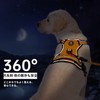 IVY&LANE Throat Friendly Adjustable Dog Harness, Reflective, Breathable, Pull Prevention,