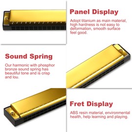 Harmonica Professional Harp Armonica Key of C 24 Hole Polyphony Diatonic Mouth Organ with Case for Blues Folk Jazz Pop for Music Student Teacher Beginner Gift