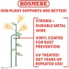 Bosmere E553 48-Inch Plant Stem Support with 6-Inch Hoop, 3-Pack