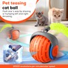 2025 New Interactive Cat Ball Toy for Indoor Cats Rotating