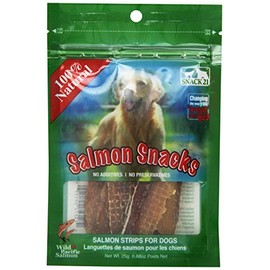 Snack 21 Salmon Snacks For Dogs