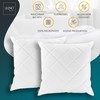 LILENO HOME Set of 2 cushion filling, 45 x 45