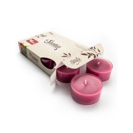 Apples & Cinnamon Premium Tealight Candles - Highly Scented with Essential & Natural Oils - 6 Dark Red Tea Lights - Beautiful Candlelight - Made in the USA - Bakery & Food Collection