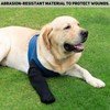 COODEO Dog Socks to Prevent Licking Paws, Dog Healing Boots