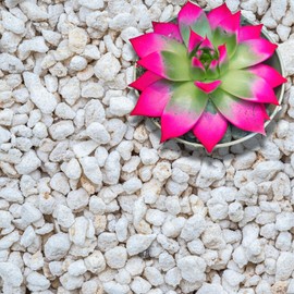 GARDENWISE Perlite for Plants, Extra Coarse Grade 4 Horticultural Perlite, Organic Perlite for Gardening Indoor & Outdoor, Made in USA (15 quarts)