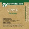 Feel Bach! Flower Essence Dropper Gorse, 20ml, 0.7 Fl Oz