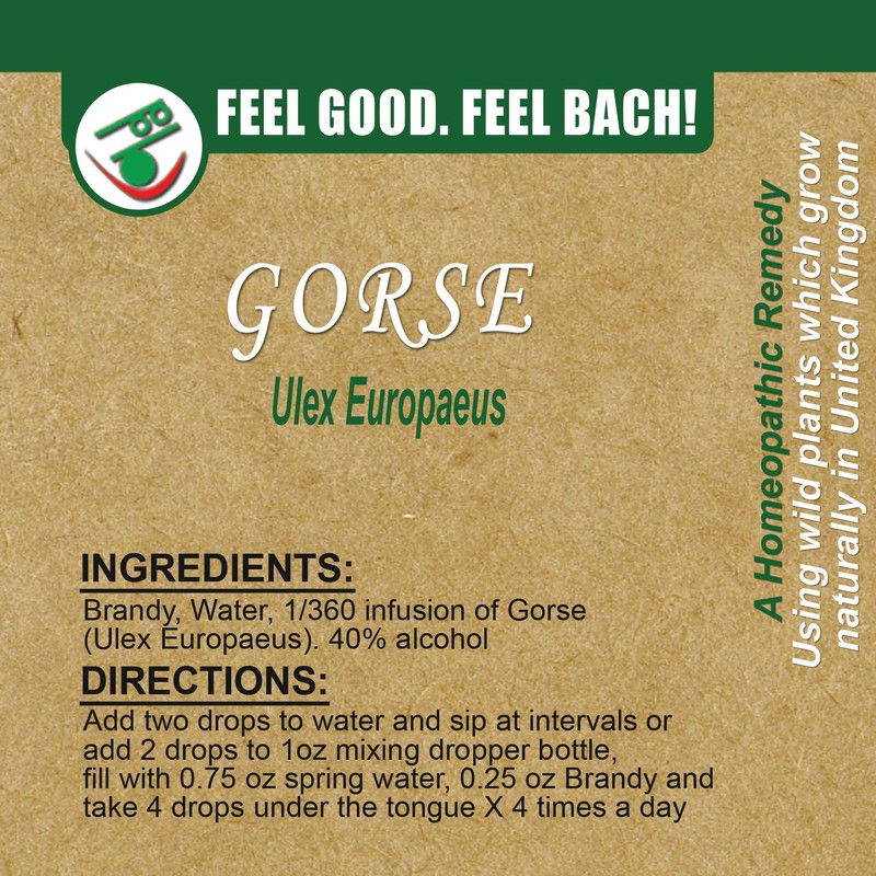 Feel Bach! Flower Essence Dropper Gorse, 20ml, 0.7 Fl Oz