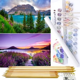BAISITE Paint by Numbers Kit for Adults Beginners,12" Wx16 L 2 Pack Canvas for Painting Kits for Adults in Colorful Box-PBN271-272-DIY Frame