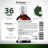 Kräutermax Willow Bark Drops | Willow Bark Plant Fluid as