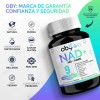 Nad Max Con Nmn Y Nr Nicotinamida Ribosa, Resveratrol, Quercetina,