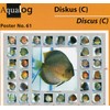 AQUALOG, 3 Discus Fold Posters, for Discus fans!
