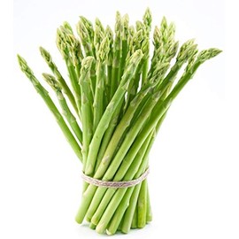 Bulk Organic Mary Washington Asparagus Seeds (1/4 Lb)