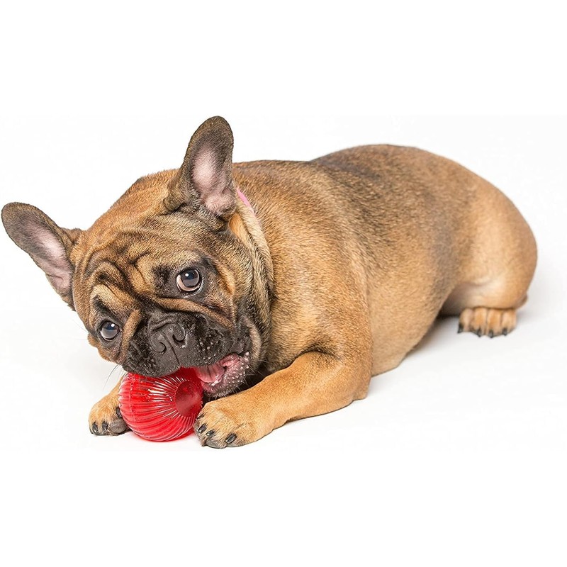 Pet Qwerks Blinky Babble Ball - Flashing Interactive Chew Dog