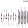 OROAX Juego de 7 curetas periodontales dentales Gracey con mango