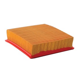 Donaldson P622149 Air Filter, Panel