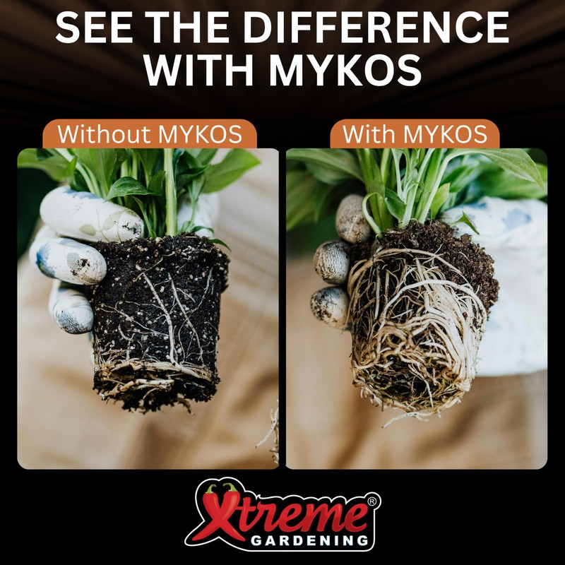 Xtreme Gardening Mykos Mycorrhizae for Plants 100g (3.5oz) – Granular