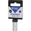 BRILLIANT TOOLS BT020965 1/4 Inch Torx Socket Spanner Insert, 25