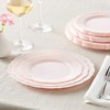 PARTY DISPOSABLE 30 PC DINNERWARE SET | 10 Dinner Plates