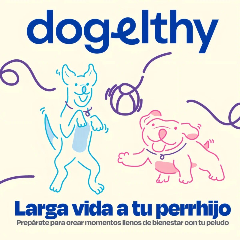 Dogelthy Aceite de Sardina Omega 3 Pack 2x450ml Perro Salud