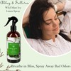 Abbey & Sullivan Linen Spray, Wild Mint Ivy, 16 oz.